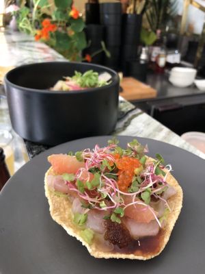 Ceviche Project by null Ceviche Project by null