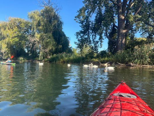 Detroit River Sports by null