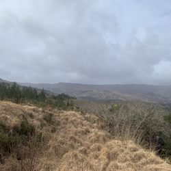 Glengarriff Nature Reserve - Lady Bantry's Lookout