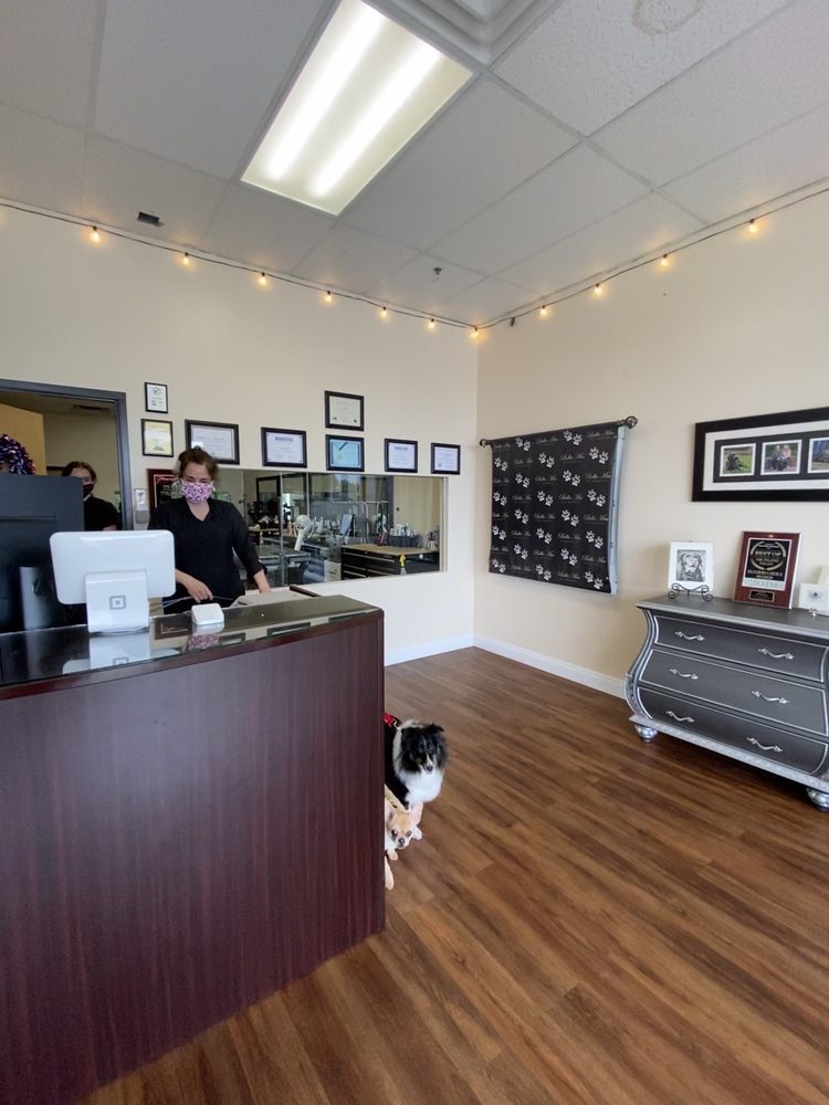 BELLA MIA PET GROOMING Updated May 2024 103 Photos & 113 Reviews