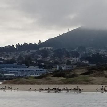 Sub Sea Tours - Rafting/Kayaking Near Me - Morro Bay, California Sub Sea Tours - Rafting/Kayaking Near Me - Morro Bay, California