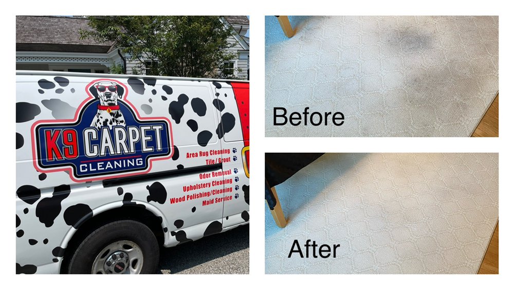 K9 CARPET CLEANING Updated September 2024 20 Photos Central Falls
