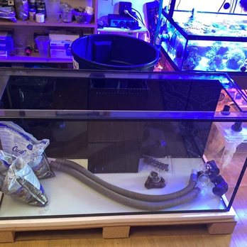 Ocean Treasures Servicing - Aquarium and sump - Aquarium Services Near Me - San Francisco, California Ocean Treasures Servicing - Aquarium and sump - Aquarium Services Near Me - San Francisco, California