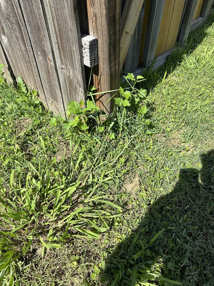 ZGN Properties - tree service in Baton Rouge, LA