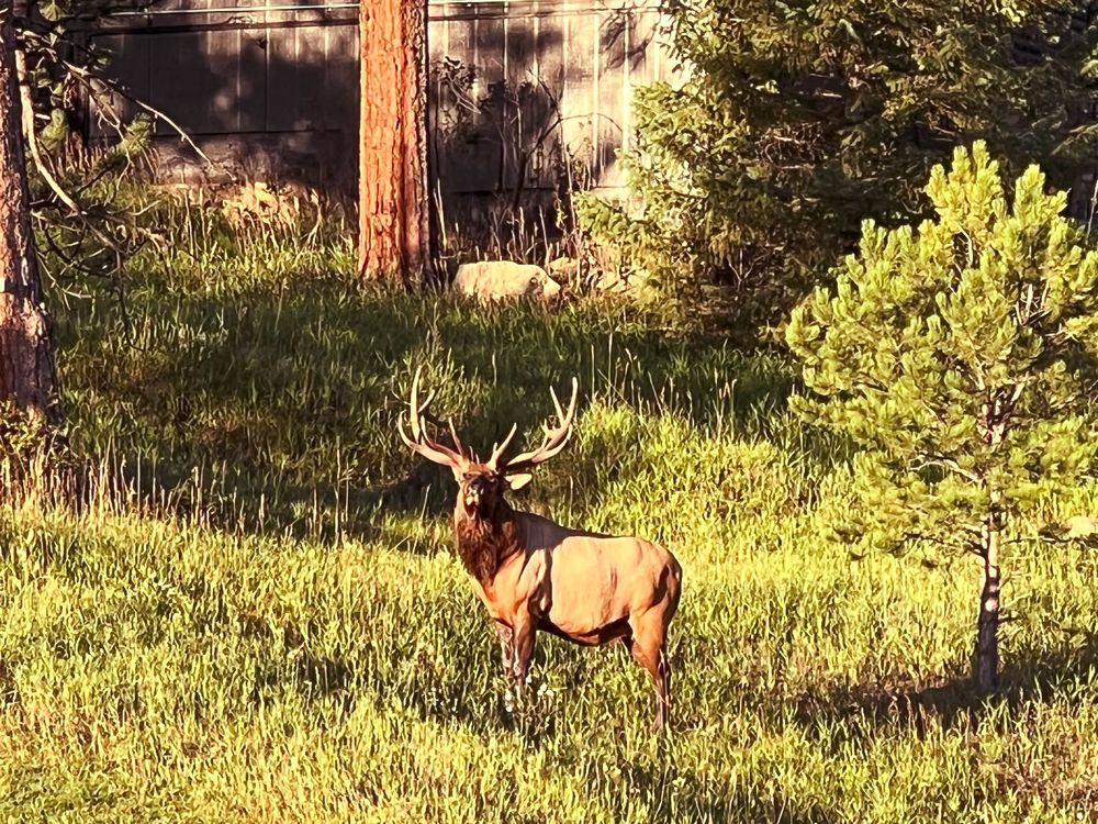 EVERGREEN GOLF COURSE Updated July 2024 29614 Upper Bear Creek Rd