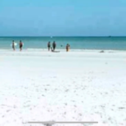 Sarasota Lakes RV Resort