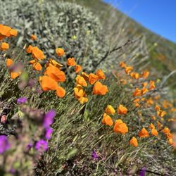 Walker Canyon Ecological Reserve