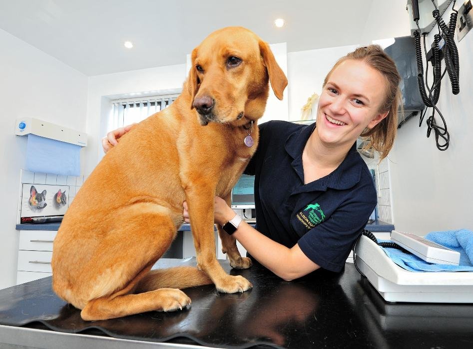 VETERINAIRE SURGERY 25 Photos New Road, Bromyard, Herefordshire