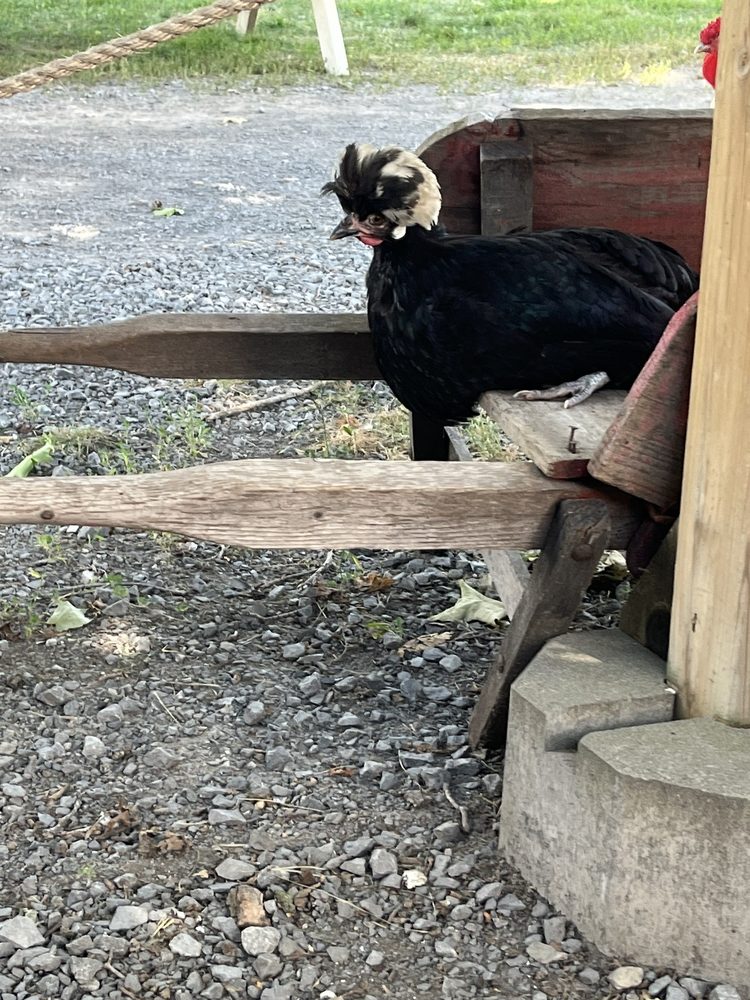 Kinsip House of Fine Spirits