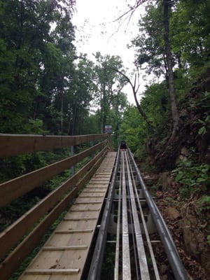 Smoky Mountain Alpine Coaster by null