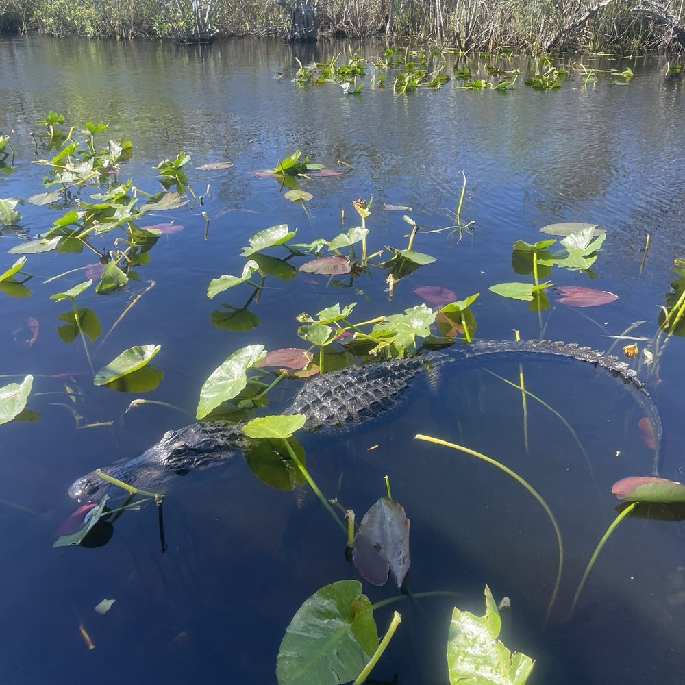 Everglades Airboat Expeditions - Boat Tours Near Me Everglades Airboat Expeditions - Boat Tours Near Me