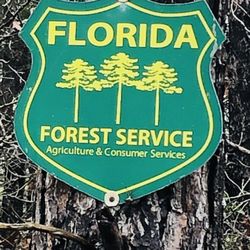 The Longleaf Pine Greenway Trail