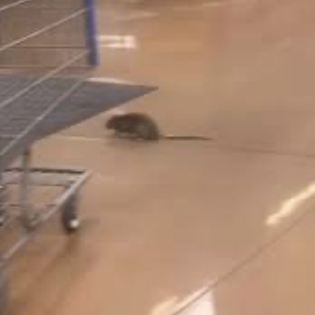 Walmart - MY daughters dropped it so I did get the picture - Department Stores Near Me - Tampa, Florida Walmart - MY daughters dropped it so I did get the picture - Department Stores Near Me - Tampa, Florida