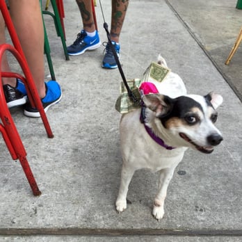Dat Dog - 3-LEGGED WANDA'S LEAP-BIRTHDAY PARTY! Dat Dog's festive courtyard is a great place for an event & to collect $$$ on your pooch's big day! - Hot Dogs Near Me - New Orleans, Louisiana