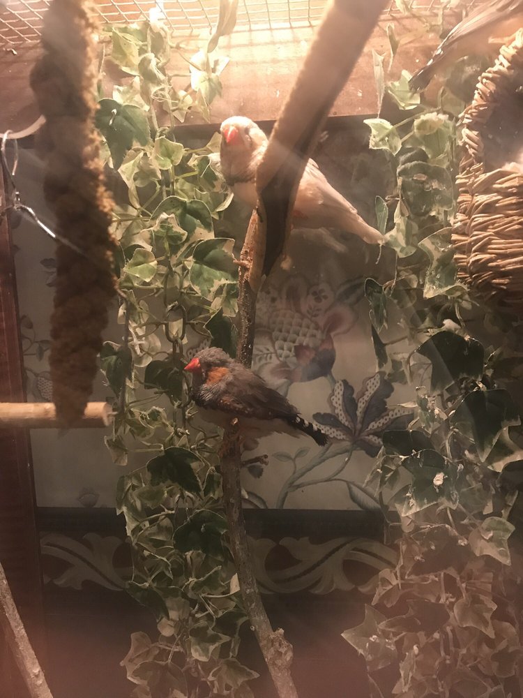 CHAPEY & SONS FREDRICK J FUNERAL HOME 17 Reviews 20 Hicksville Rd