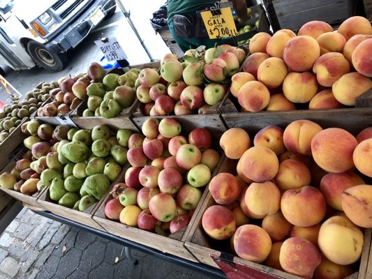 Tompkins Square Park Greenmarket by null
