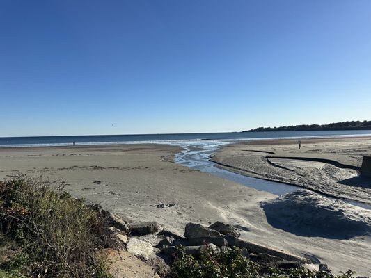 Newport Beach Hotel & Suites by null