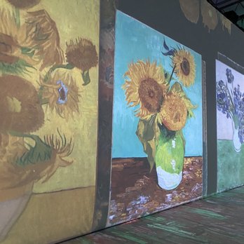 Beyond Van Gogh: the Immersive Experience - Art Installation Near Me - Albuquerque, New Mexico