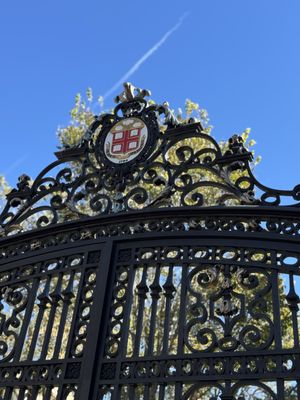 Brown University by null