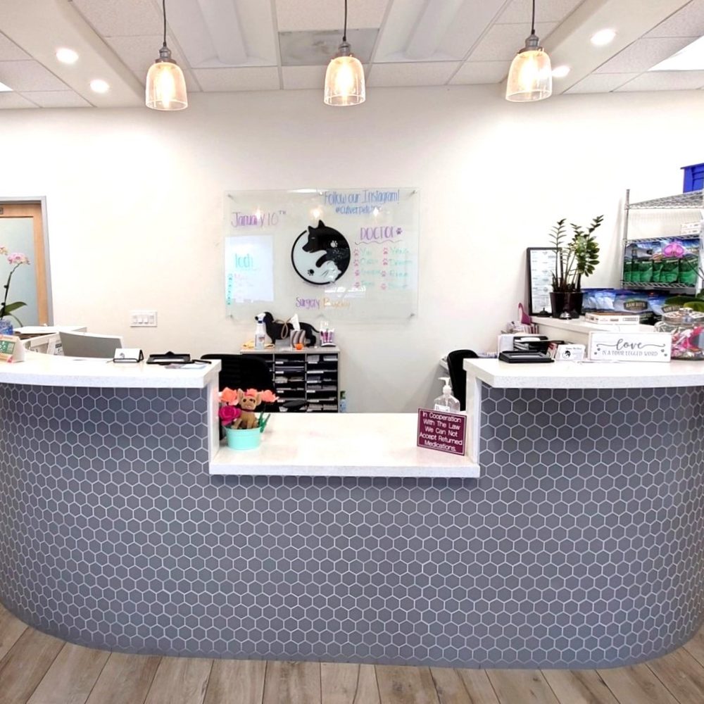 TOP 10 BEST Neuter Cat in Irvine, CA - Updated 2026 - Yelp