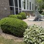 Shades of Green Lawncare Services