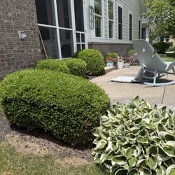 Shades of Green Lawncare Services - Trimmed shrubs