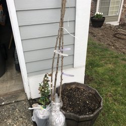 Raintree Nursery 2019 All You Need To Know Before Go Raintree Nursery 2019 All You Need To Know Before Go