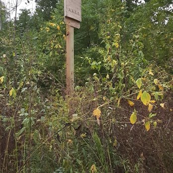 Raymond Worth Park - bat box - Parks Near Me - Westfield, Indiana Raymond Worth Park - bat box - Parks Near Me - Westfield, Indiana