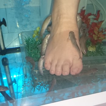 Fishness - Massage Near Me - Peguera, PM