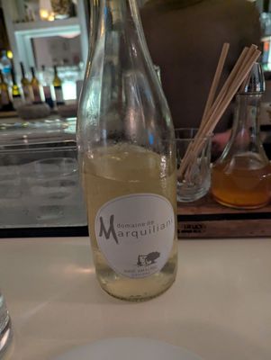 WATER LION Wine + Alchemy by null