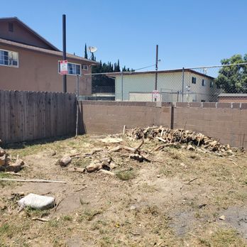 Discount Tree Care Arborist - After - Tree Services Near Me - Long Beach, California