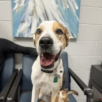 Red Plains Veterinary - My happy baby - Veterinarians Near Me - Oklahoma City, Oklahoma Red Plains Veterinary - My happy baby - Veterinarians Near Me - Oklahoma City, Oklahoma