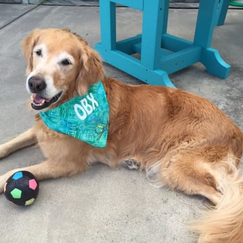 Outer Barks - Pet Stores Near Me - Duck, North Carolina