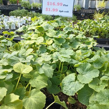 Gardens & Beyond - Vegetables - Nurseries & Gardening Near Me - China, Michigan