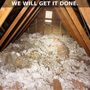 Photo of Natural Rodent Control