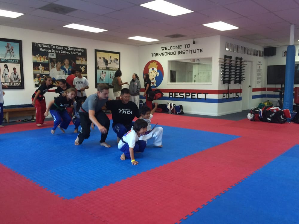Tae Kwon Do Institute Logo