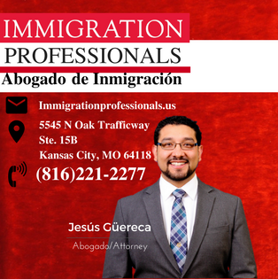 Immigration Professionals - immigration attorney in Kansas City, MO