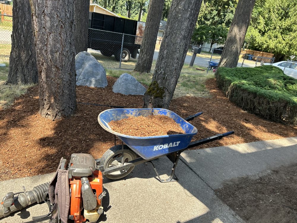 Professional Brothers Landscaping - tree service in Kent, WA