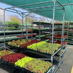 Fruit of the Bloom Garden Center