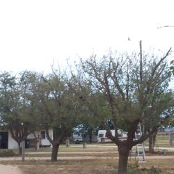 The Comfort Zone RV park