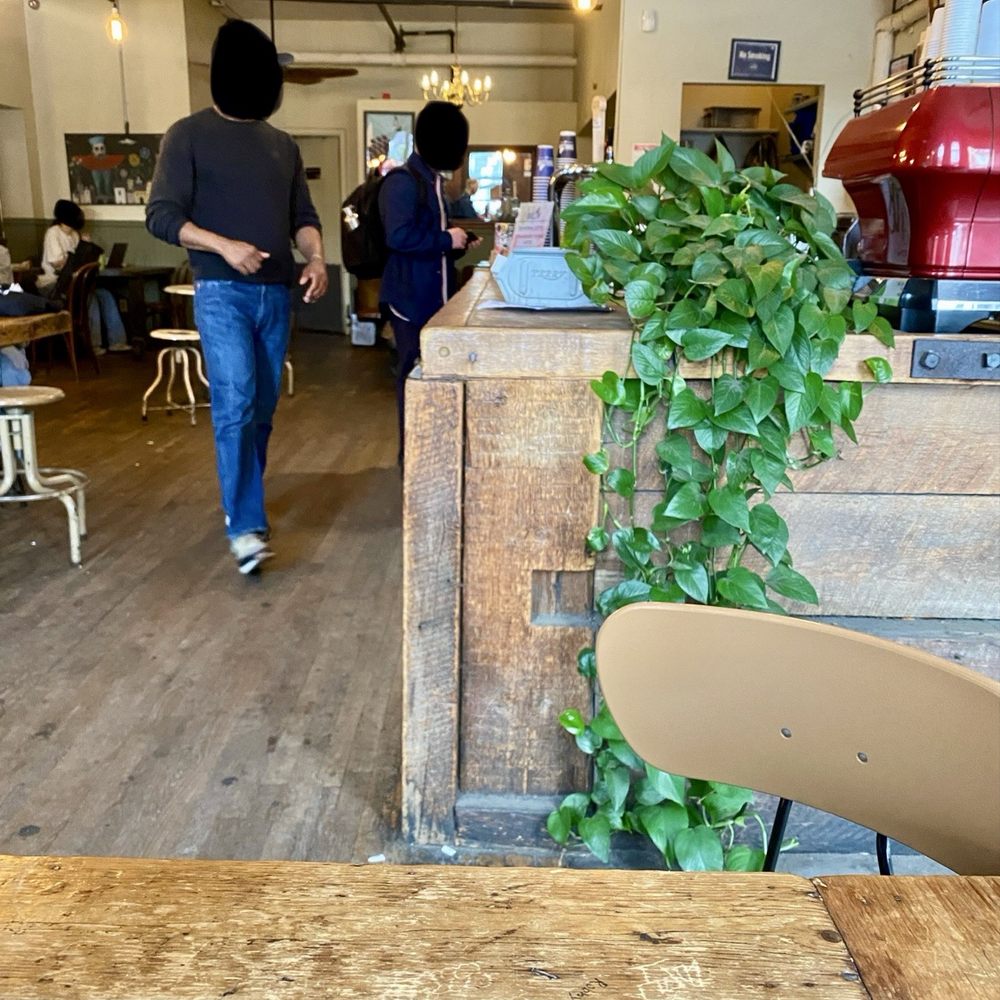 Swallow Cafe - My View - Coffee & Tea Near Me - Brooklyn, New York
