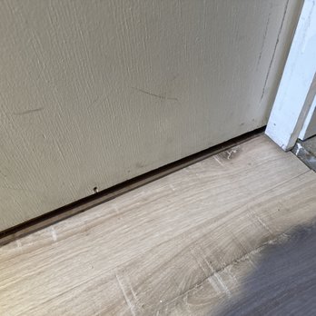 Vacasa - Wholes where mouse ran under - Vacation Rentals Near Me Vacasa - Wholes where mouse ran under - Vacation Rentals Near Me