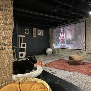 Le Chat Noir Bookstore & Cat Lounge - Bookstores Near Me - Redlands, California