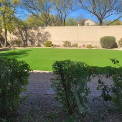 Desert Vine Landscaping