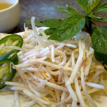 Thai Son Restaurant - Side sprouts, chili, basil, and lemon wedge - Vietnamese Near Me - Vancouver, British Columbia Thai Son Restaurant - Side sprouts, chili, basil, and lemon wedge - Vietnamese Near Me - Vancouver, British Columbia