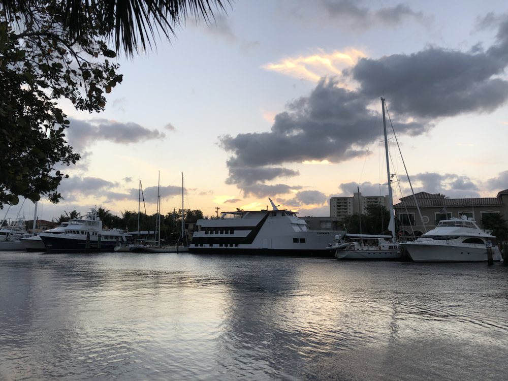 Recovery Institute of the South East - grief counselor in Fort Lauderdale, FL