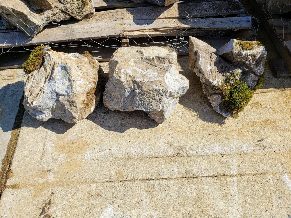 OLD MILL NURSERIES Updated August 2024 29 Reviews 1862 Newbridge