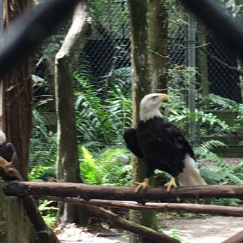 Busch Wildlife Sanctuary - Zoos Near Me - Jupiter, Florida