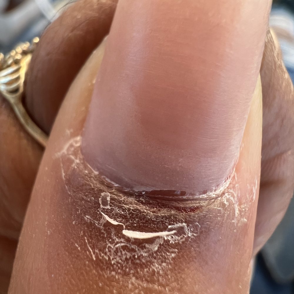 Shark Nail Bar - Nail Salons Near Me - Lithonia, Georgia Shark Nail Bar - Nail Salons Near Me - Lithonia, Georgia