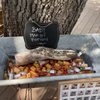 Bear Creek Staging Area gift card